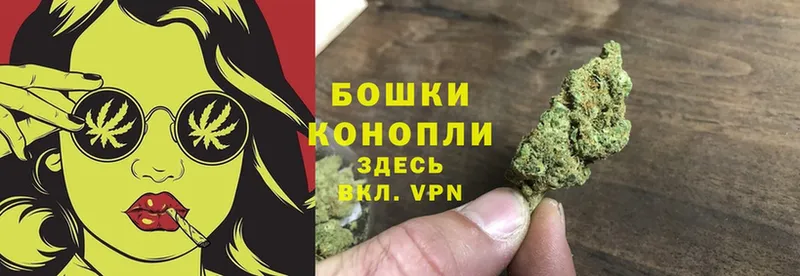 где купить   Санкт-Петербург  Бошки марихуана OG Kush 